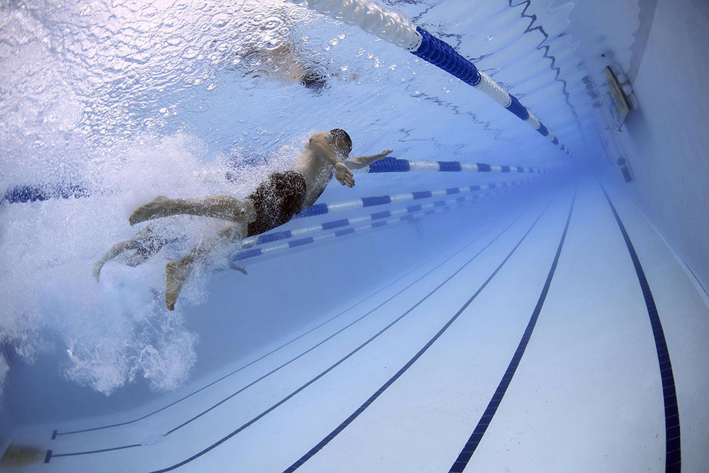 image of swimmers in pool